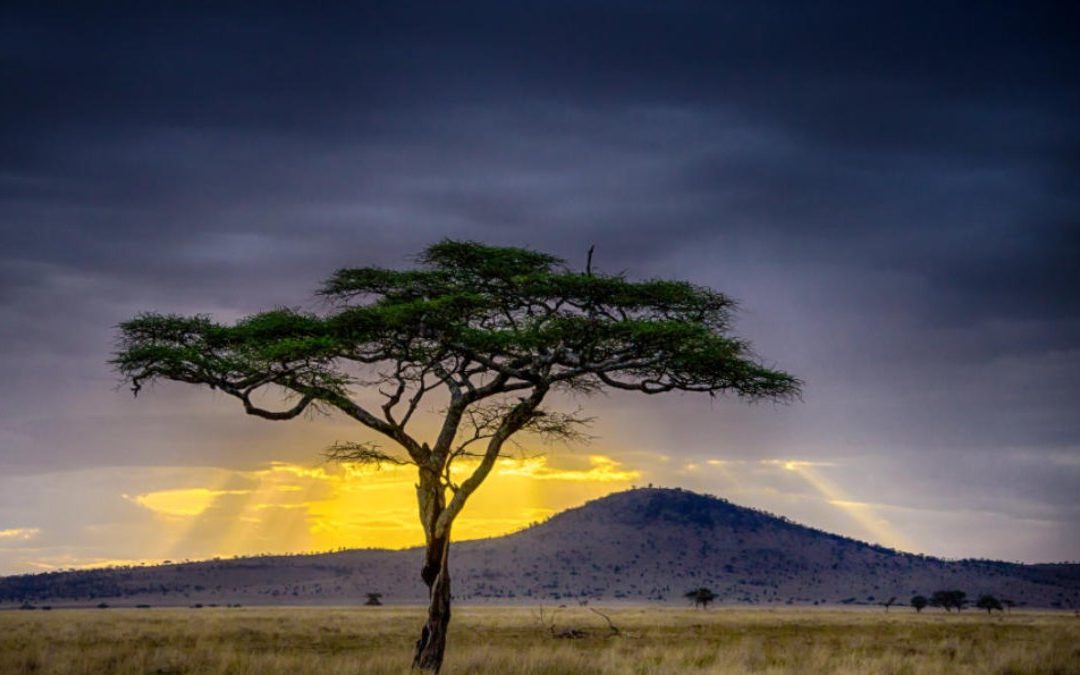 Data-Driven Development in Africa