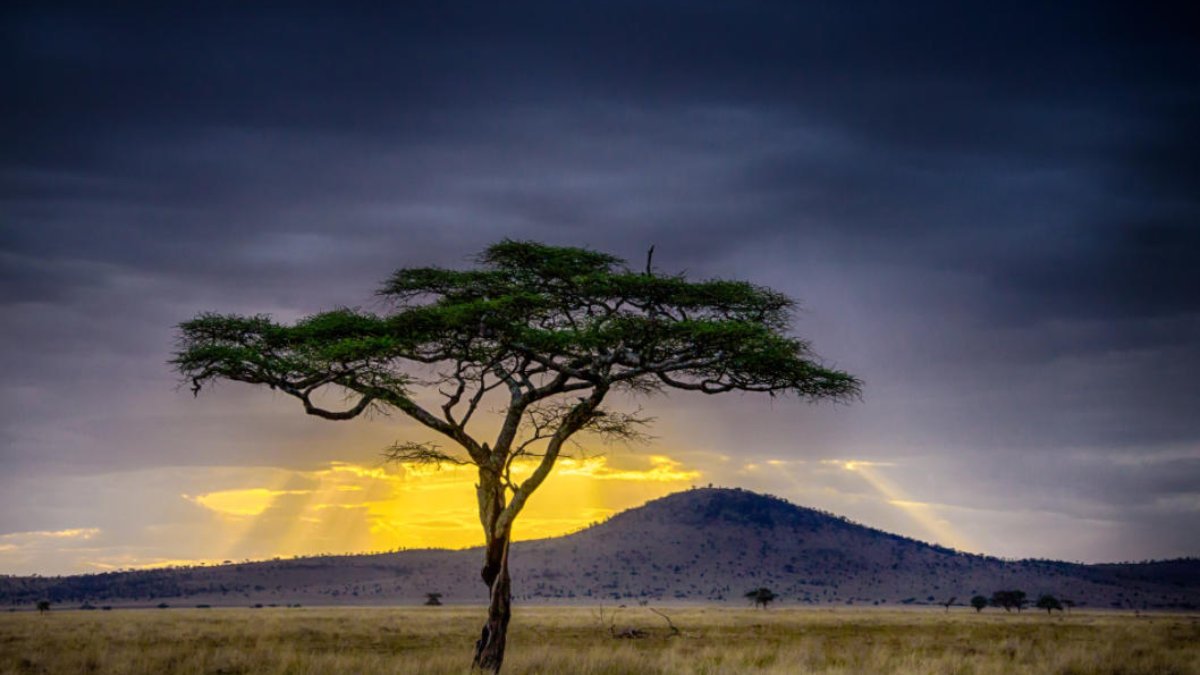 Sunset over countryside in Africa