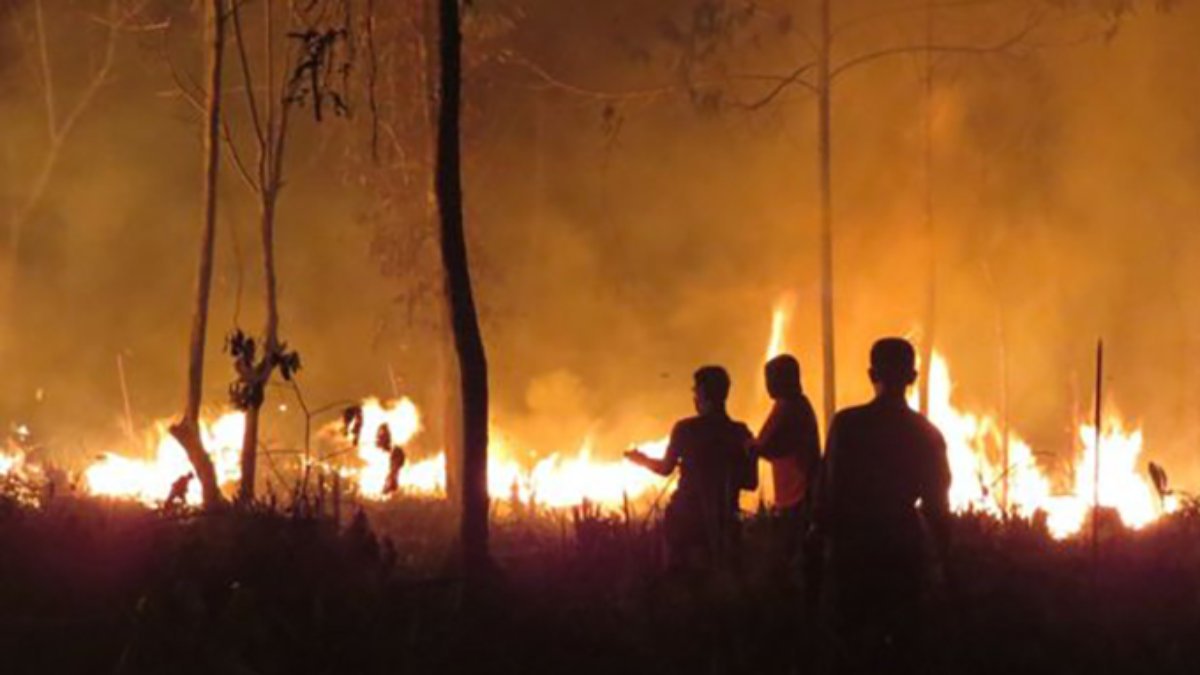 Indonesian fires